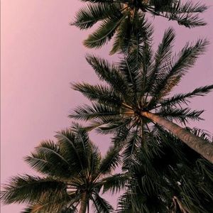 Meet your Posher, Nerissa